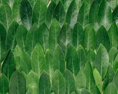 Green sustainability concept with renewable energy, eco-friendly business icons, and natural elements representing ESG trends in 2025.