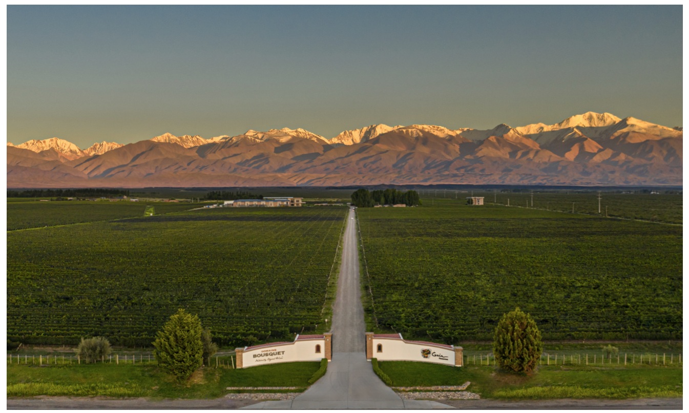 Argentine organic winemaker organic