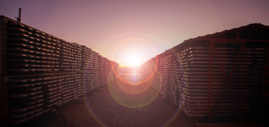 Rows of stacked industrial materials at an outdoor site at sunset.